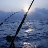 ماهیگیری در کیش